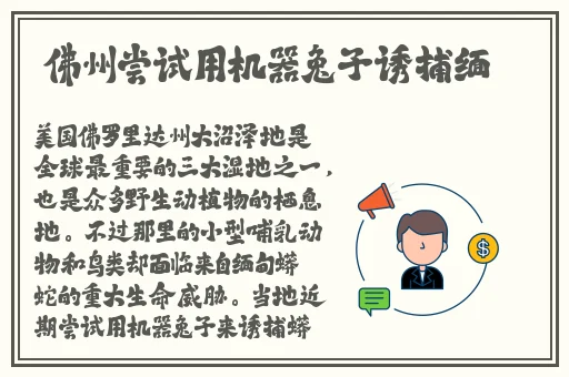 仙踪林Corporation官网